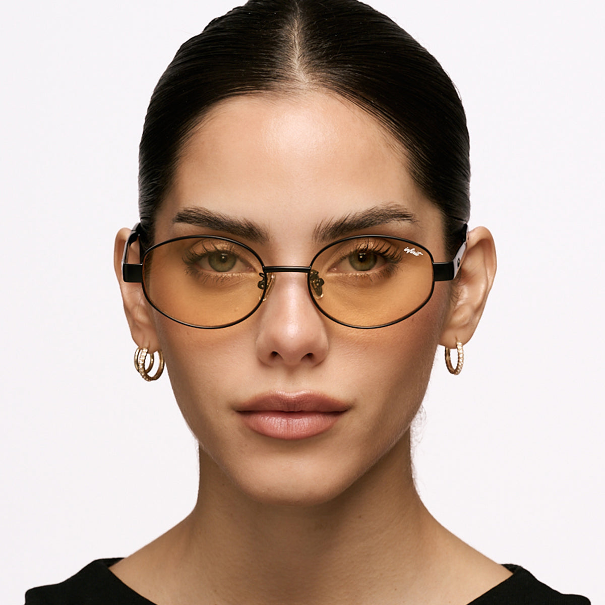 Anteojos de Sol - Alaska Negro Lente Tostado