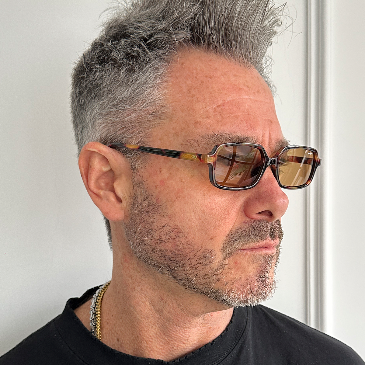 Anteojos de Sol - Glyze Carey Lente Marron