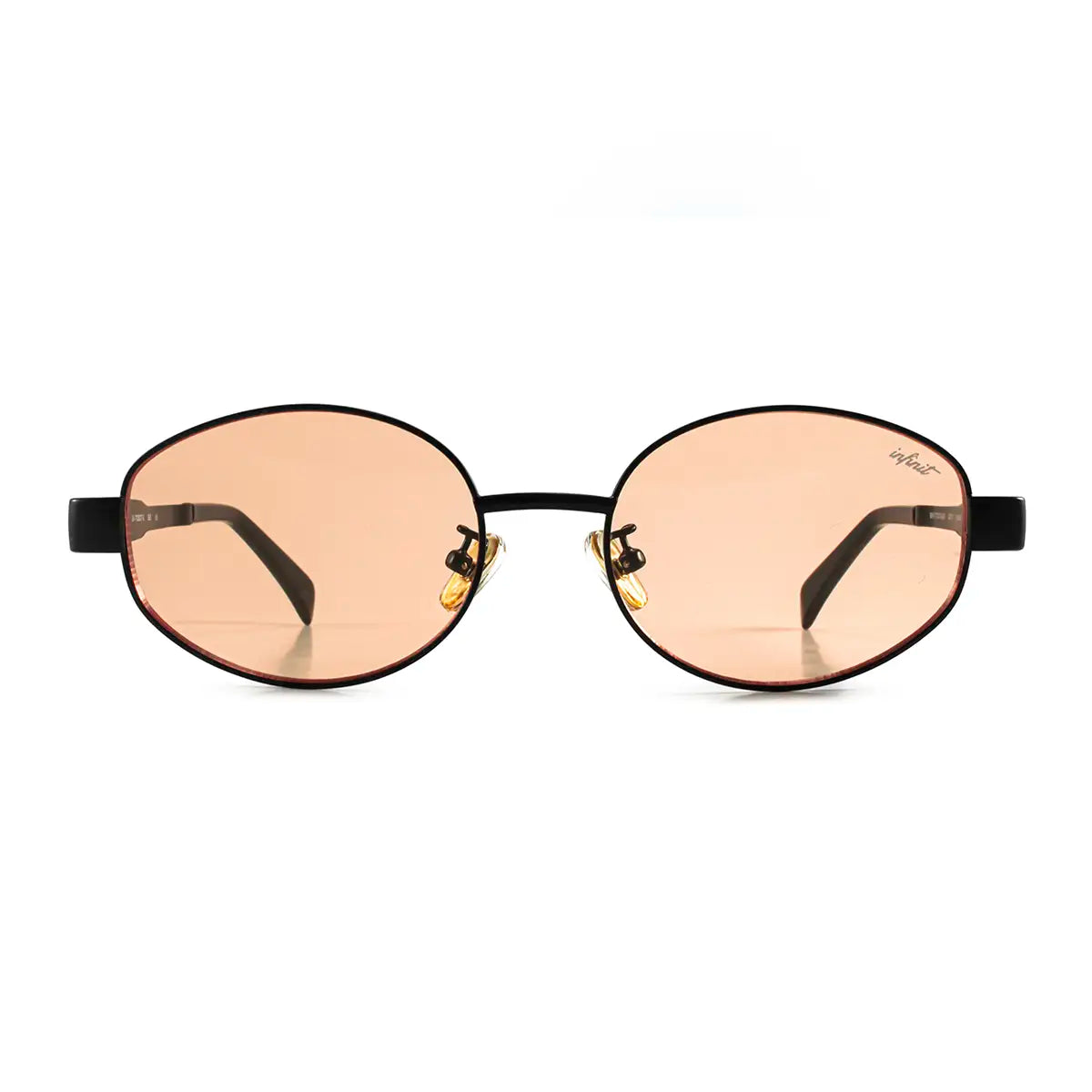 Anteojos de Sol - Alaska Negro Lente Tostado