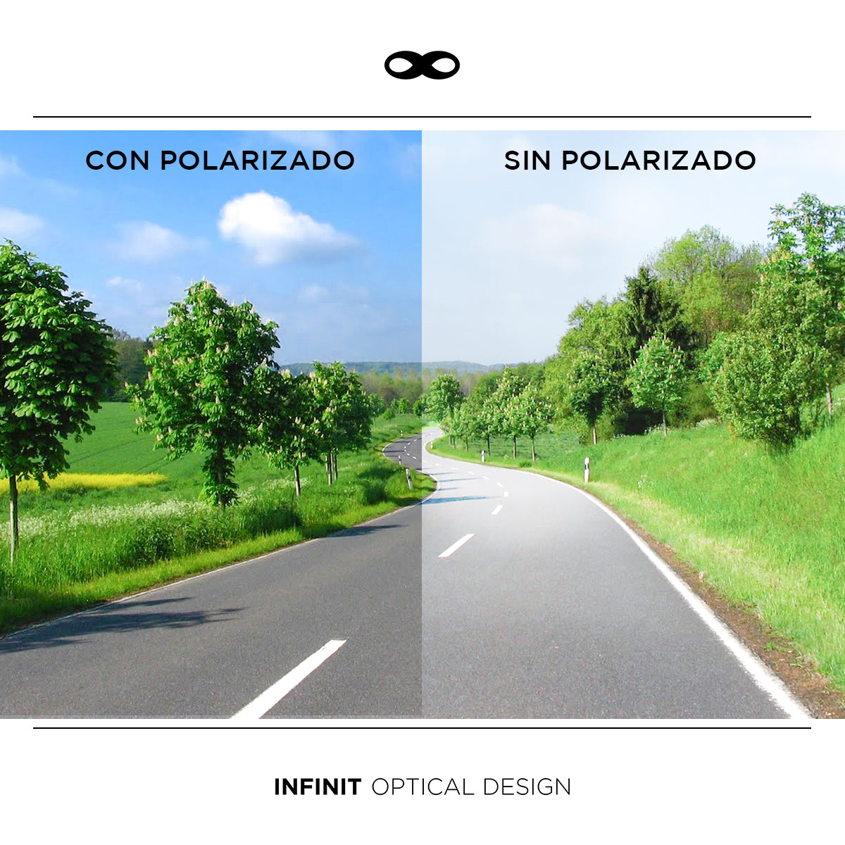 Anteojos de Sol - Naomi Carey Lente Gris Polarizado