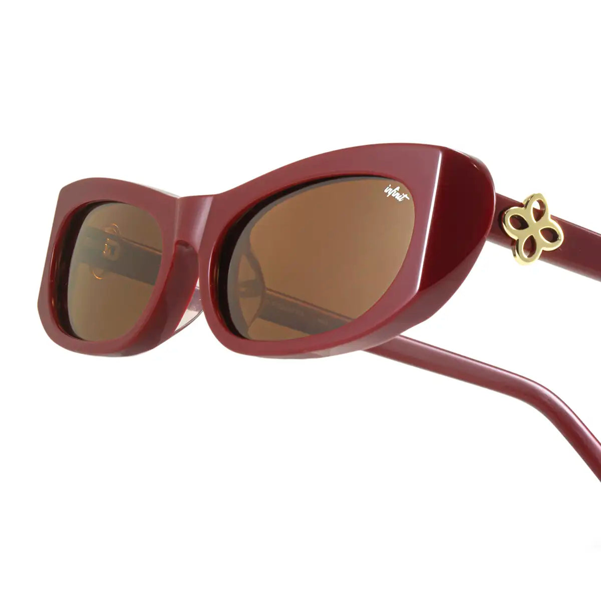 Anteojos de Sol - Trinity Bordo Lente Marron